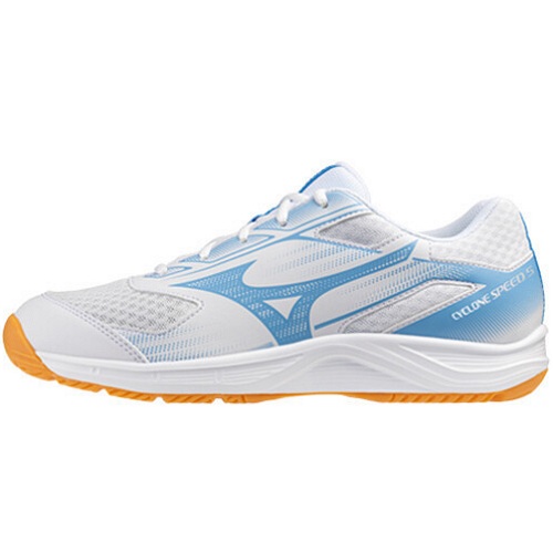 ����� ����Ŭ�� ���ǵ� 5 V1GA258058