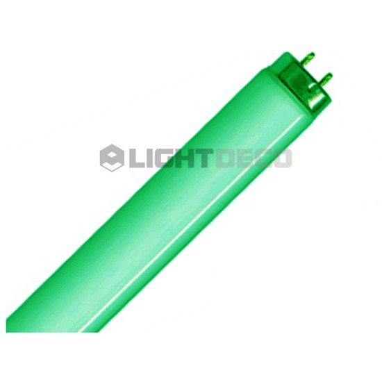 �츮���� �������  FL ������ ��� 20W