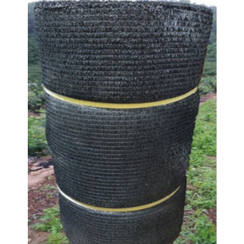 잡초의신 방초망