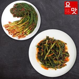  푸드앰프 요맛김치 감칠맛이 풍부한 전라도 열무김치 3kg + 파김치 2kg [1개]