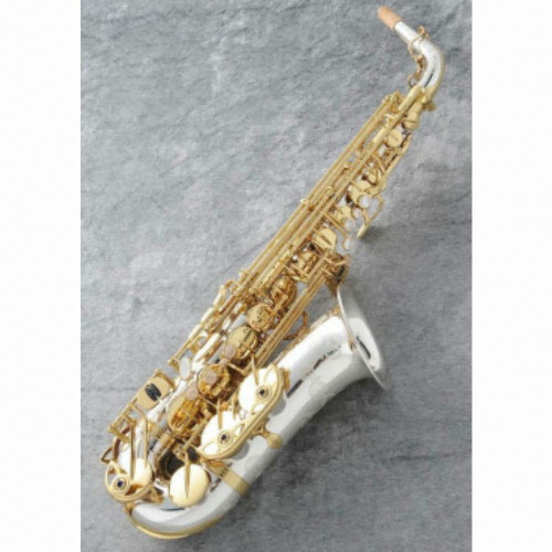 야나기사와 T-WO37_이미지