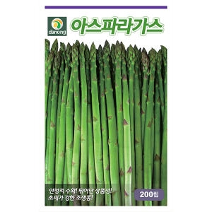 다농 아스파라거스 씨앗 (200립)_이미지