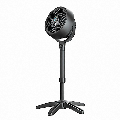 보네이도 683 (해외구매)