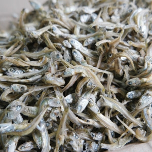 쪽빛누리 멸치 가이리멸치 볶음멸치 1.5kg 중품_이미지