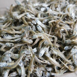 쪽빛누리 멸치 가이리멸치 볶음멸치 1.5kg 중품