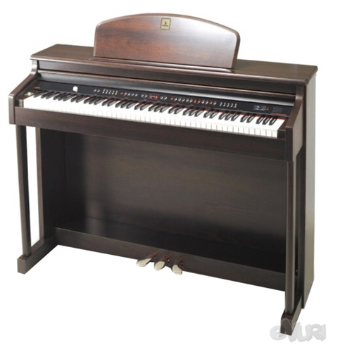 ���̳��� DPR-2000