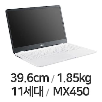 LG전자 2021 울트라PC 15U50P-KR56K