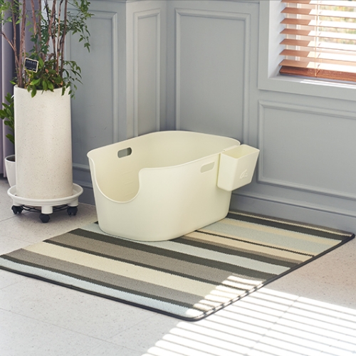 �ÿ����� �Կ��� Ĺ��Ʈ ũ��ġ��