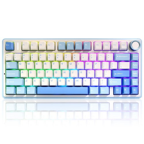 AULA F75 ������ ���� ���� ����