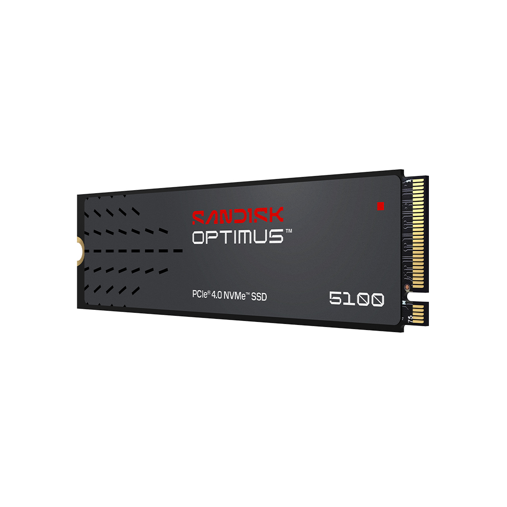 Sandisk Optimus 5100 M.2 NVMe (500GB)_이미지