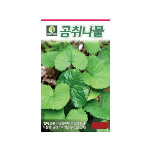 다농 곰취나물씨앗 (100립)_이미지