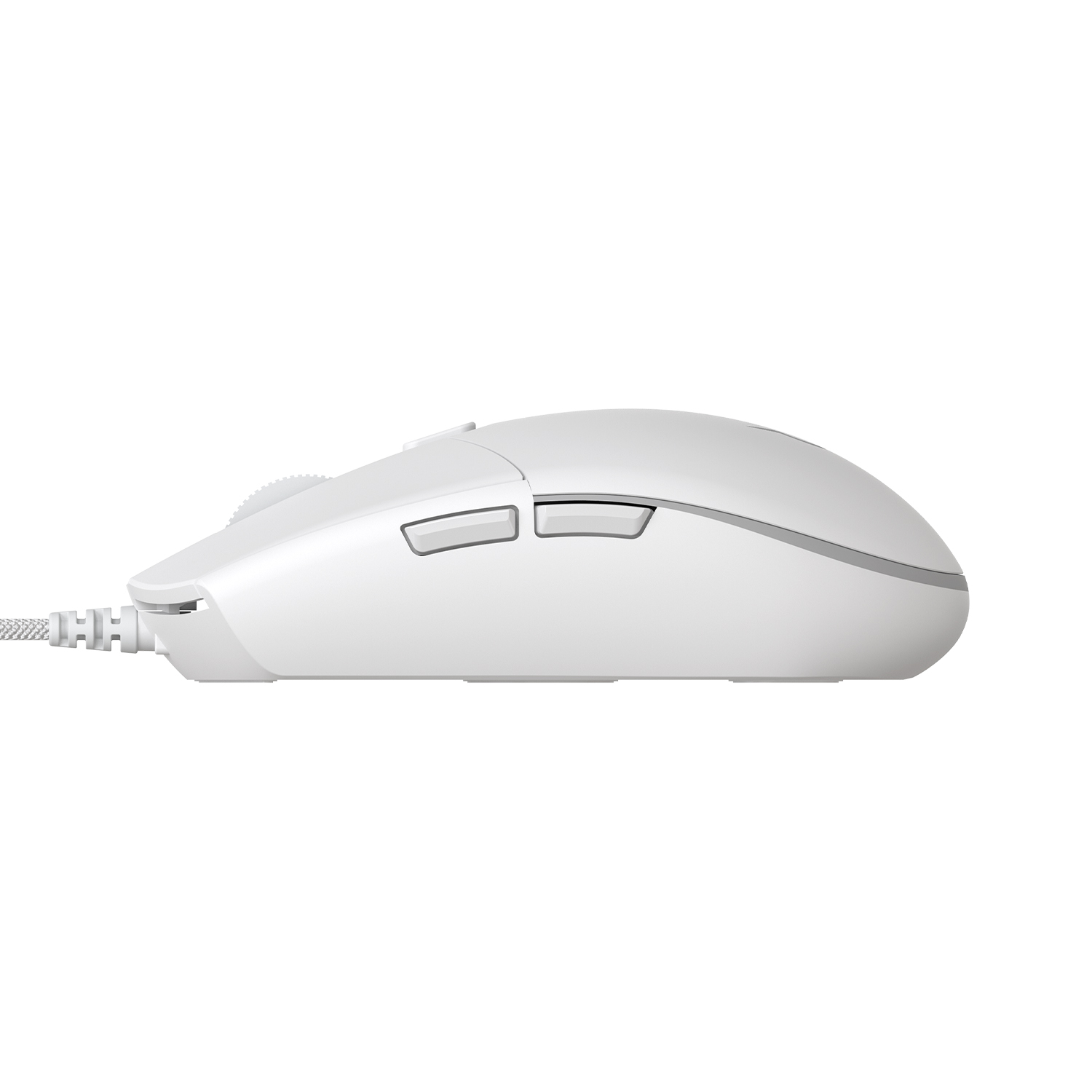 COX CM1000