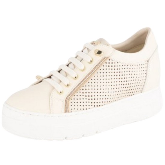 DFD���������ı׷� �Ҵ� ĳ�־� Ű���� ����Ŀ�� ALS204LS31