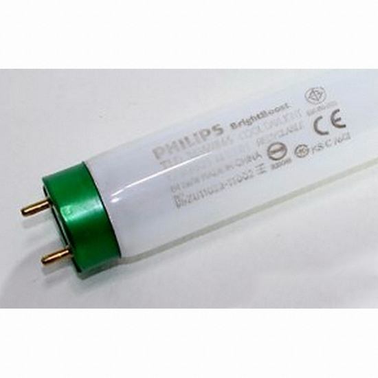 �ο����� ������ ���������� 40W �ֱ���