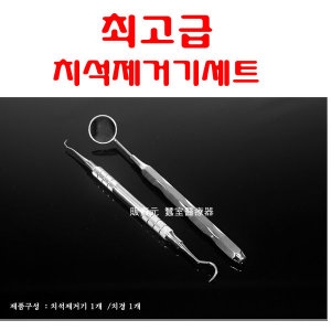 치석제거기+치경 U15-30
