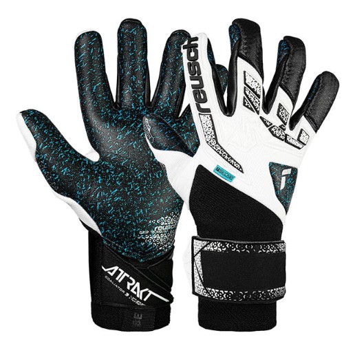 로이쉬 어트랙트 프리젤 퓨전 골리에이터 5570995-1125