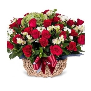 �ٿ��ö�� ��ȭ �ɹٱ���