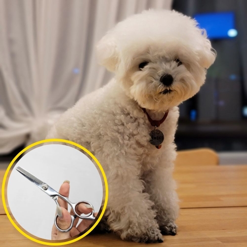 미용 스텐레스 이발 숱치기 틴닝가위 숱가위 숯가위
