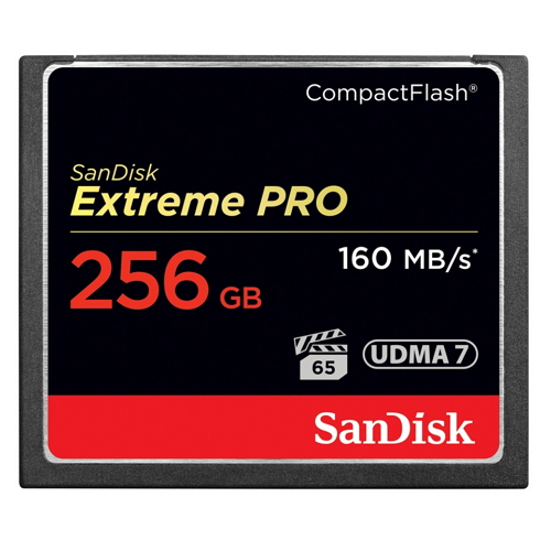 Sandisk CF Extreme Pro 2015 (256GB)