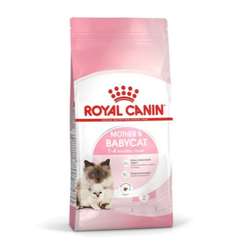 �ѱ����� �ξ�ĳ�� Ĺ ���� �� ���̺�Ĺ 1.2kg