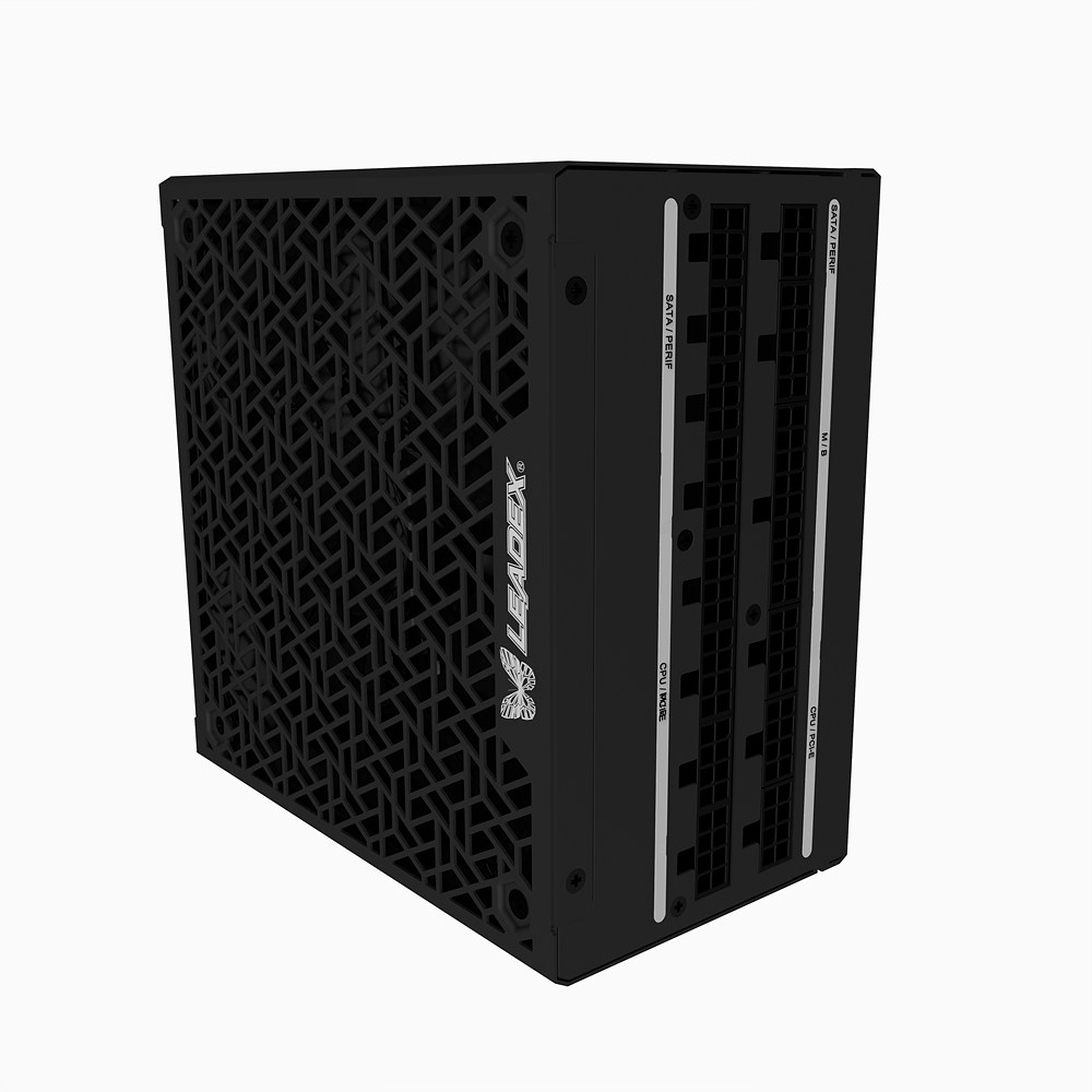 SuperFlower SF-1000F14XG LEADEX VII GOLD ATX3.1_이미지