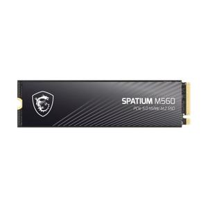 MSI SPATIUM M560 M.2 NVMe 해외구매 (2TB)_이미지