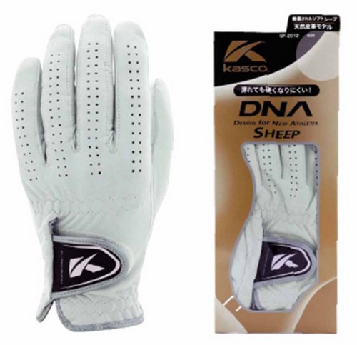 ī���� DNA �� �����尩 GF-2012