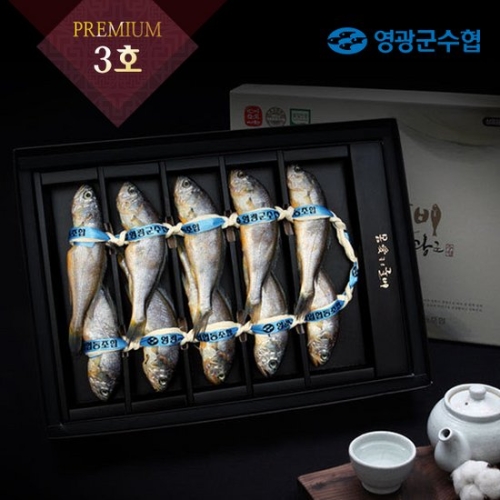 영광군수협 몸愛좋은 영광굴비 프리미엄세트 3호 10미 2.1kg [1개]