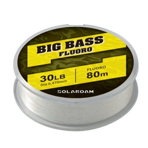 토레이 솔라롬 빅배스 후로로 (100m)