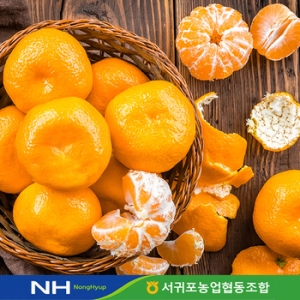 청정오름 노지감귤 (2S-M) 71~141과내외 10kg
