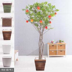 플라워트리 라인-사과나무화분set 240cm  조화  FREOFT이미지입니다. 누르면 해당 게시물로 새창이동합니다.