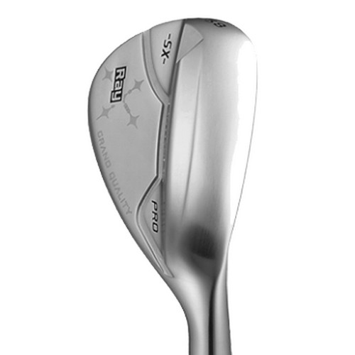 �θ��� RAY SX-PRO ũ�� ������ ����