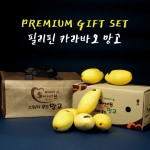 예주인터내셔널 필리핀 카라바오 망고 선물세트 M사이즈 12과 3kg (1개)_이미지