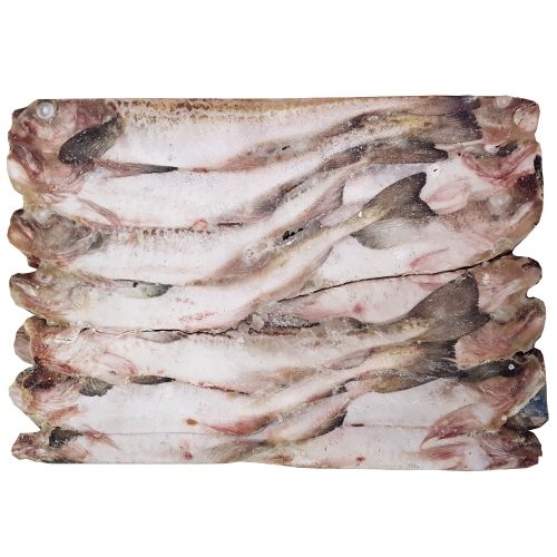조은상사 명태21.5kg1박스 5통20마리 7통28마리 동태 코다리 선동명태 1박스 동태5통 21.5kg1박스