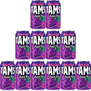 롯데칠성음료 탐스 쥬시 포도 355ml