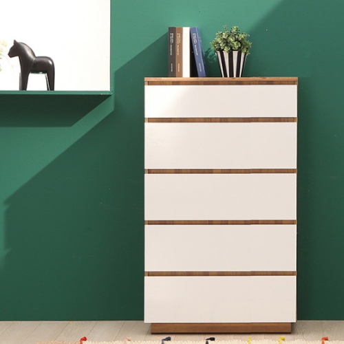 �ν� ������ 5�� ������ 800