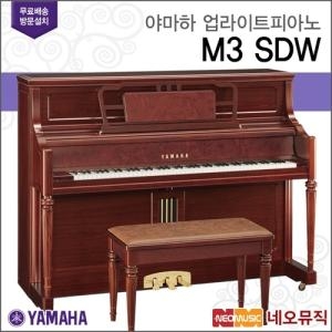 �߸��� M3 SDW