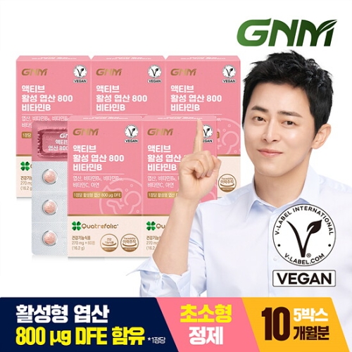 GNM자연의품격 액티브 활성 엽산 800 비타민B 60정 (5개)
