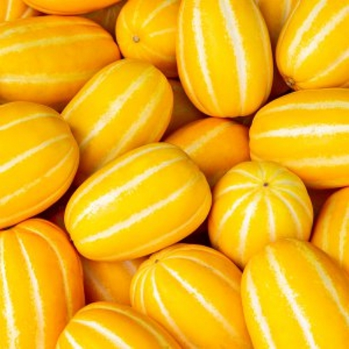 초록자연 성주 참외 21~25개(과) 10kg (1개)_이미지