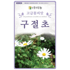다농 구절초꽃씨앗 1000립_이미지