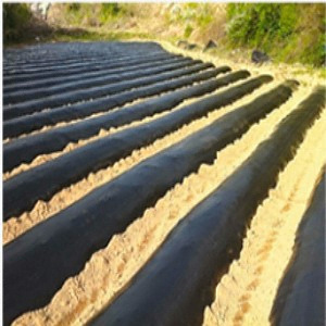 에스몰 LD 멀칭비닐 흑색 0.02mm (150cm x 200m)_이미지