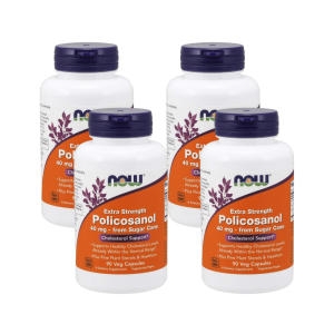 ����Ǫ�� �����ڻ�� 40mg 90ĸ��