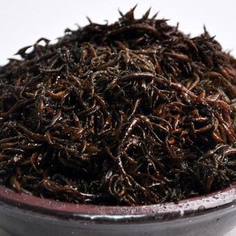 푸르젠 완도 염장 톳 2kg