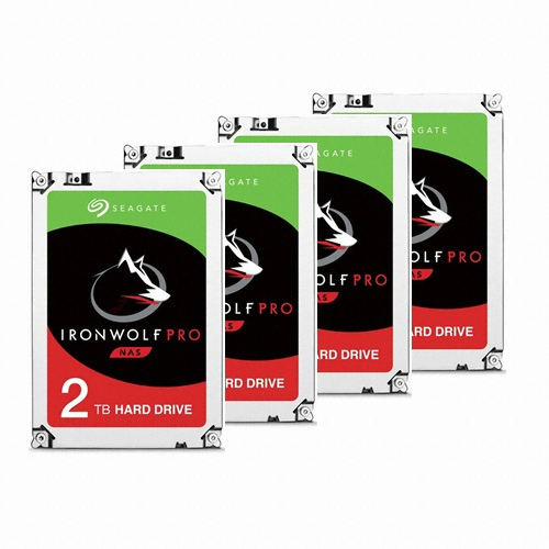 Seagate IronWolf Pro 패키지 7200/128M ST2000NE0025 (4x2TB)