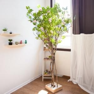 플라워트리 라인_지니아나무 190cm FREOFT이미지입니다. 누르면 해당 게시물로 새창이동합니다.