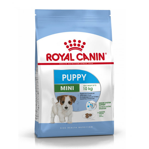 �ξ�ĳ�� �Թ̴� ���� 800g