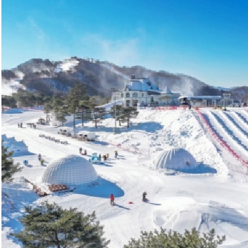 대명레저산업 소노벨 비발디파크 객실