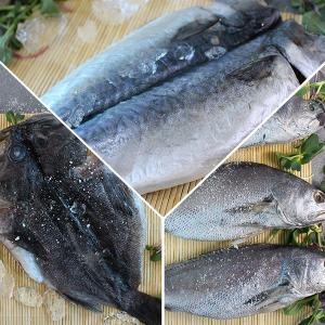 친환경팔도 여수 반건조 고등어 5마리/우럭 2마리/민어 3마리 여수-0104