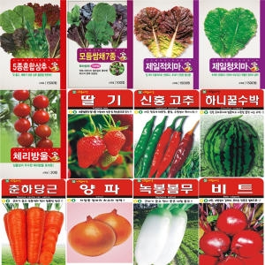화분월드 민속 특수 씨앗