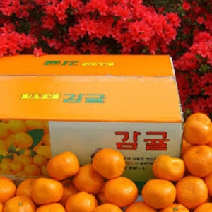 한라산농장 귤 중대과 L~ 2L 10kg (1개)_이미지